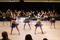Filename=FK2X9138.jpg
Filesize=69KiB
Dimensions=480x320
Date added=Apr 11, 2017 FK2X9138.jpg