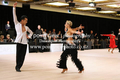 Filename=FK2X2146.jpg
Filesize=67KiB
Dimensions=480x320
Date added=Apr 16, 2017 FK2X2146.jpg