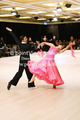 Filename=FK2X2288.jpg
Filesize=64KiB
Dimensions=320x480
Date added=Apr 16, 2017 FK2X2288.jpg