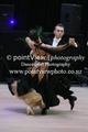 Filename=MQ1K3369.jpg
Filesize=57KiB
Dimensions=320x480
Date added=Apr 25, 2018 MQ1K3369.jpg