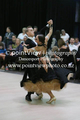 Filename=MQ1K3386.jpg
Filesize=58KiB
Dimensions=320x480
Date added=Apr 25, 2018 MQ1K3386.jpg