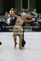 Filename=MQ1K3871.jpg
Filesize=56KiB
Dimensions=320x480
Date added=Apr 26, 2018 MQ1K3871.jpg