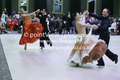Filename=MQ1K6311.jpg
Filesize=68KiB
Dimensions=480x320
Date added=May 03, 2018 MQ1K6311.jpg