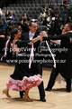Filename=18RG7217.JPG
Filesize=76KiB
Dimensions=320x480
Date added=Nov 15, 2018 18RG7217.JPG